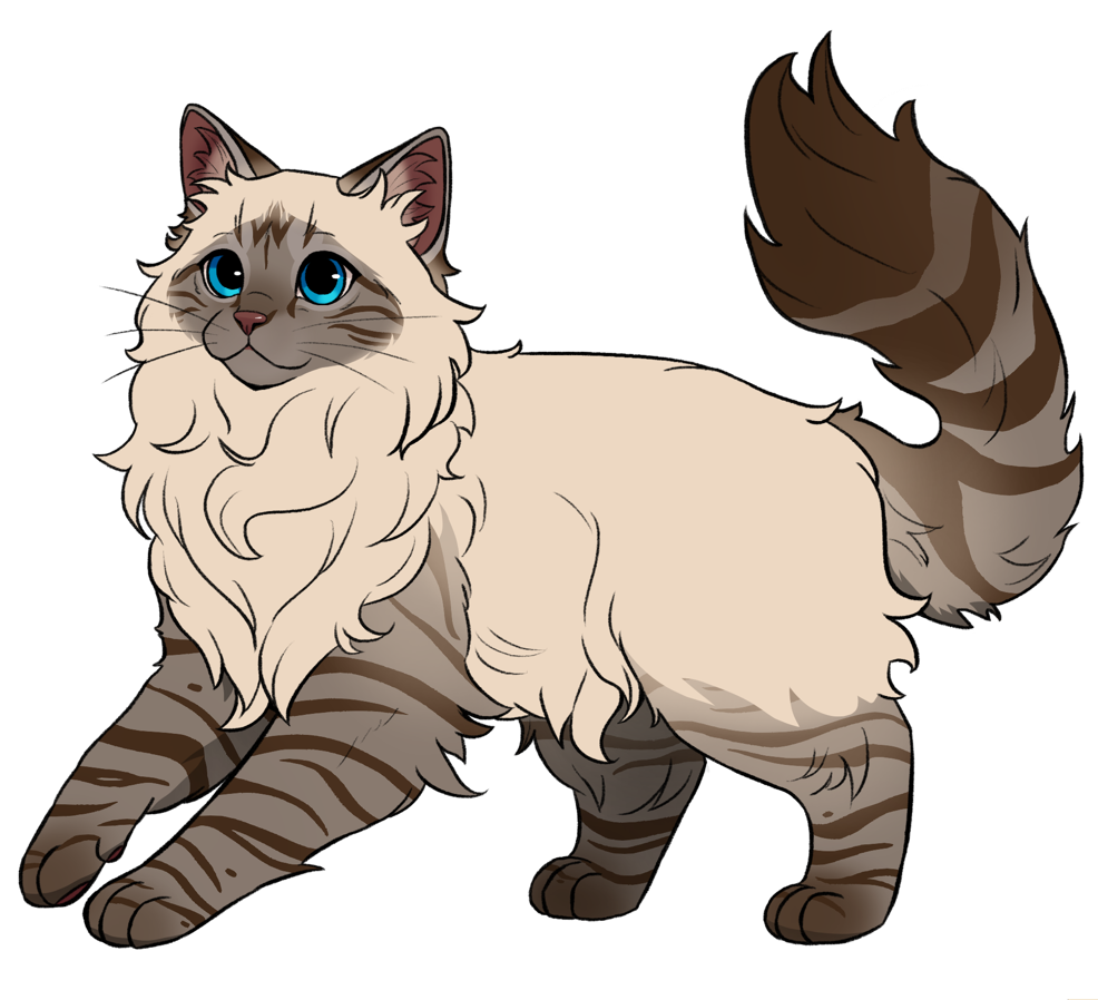 Ragdoll cat breed in the Catmaster breeding game