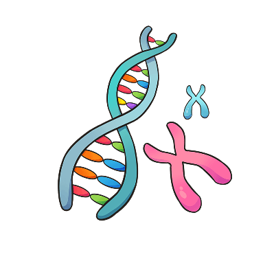 Cat genetics and trait inheritance